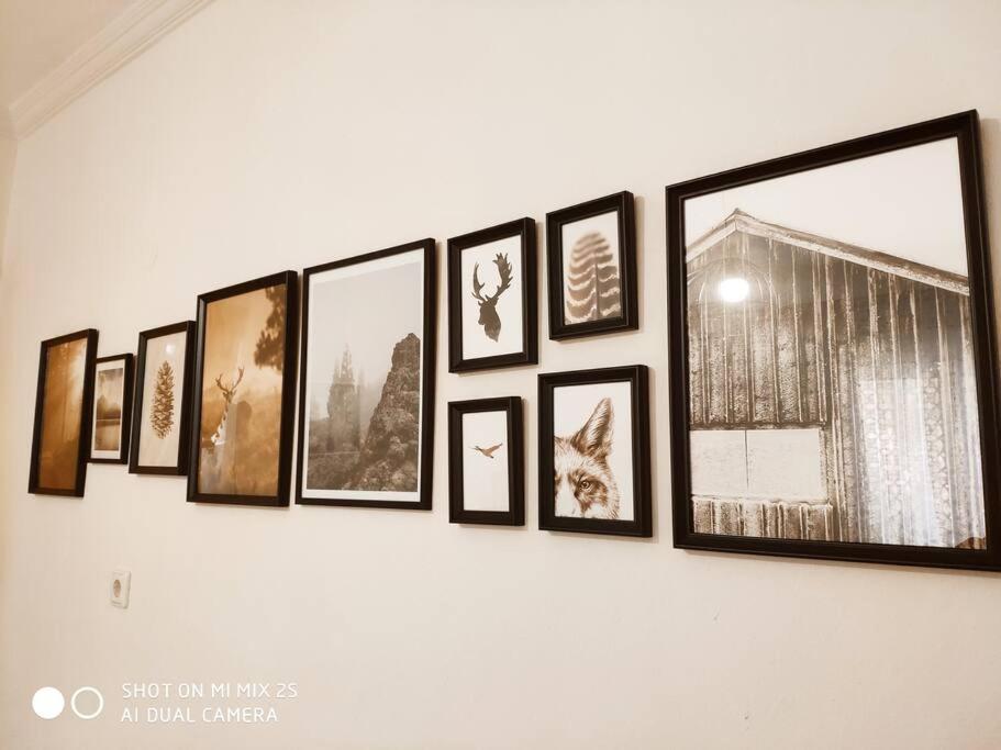 Evaggelia'S Apartments 1 Διαμονή Στο Κέντρο Kozani Exteriér fotografie